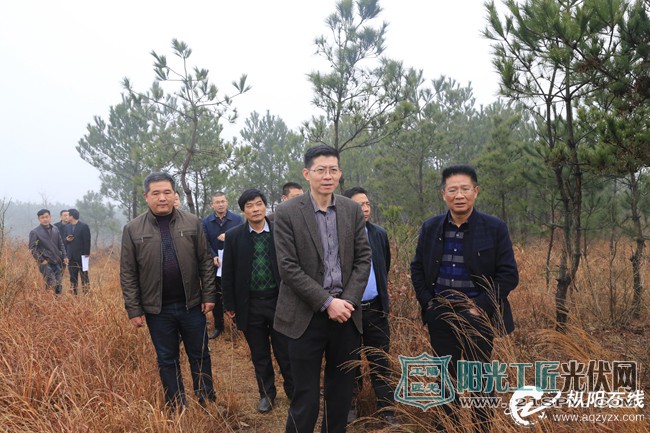 安徽枞阳光伏扶贫打响“扶贫攻坚战”