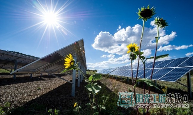 2016年中国太阳能设备出口降10%至140亿美元