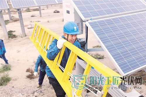 山东最大单体“渔光互补”发电逾9000万千瓦时