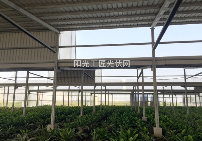 1116933402_14458202799041n