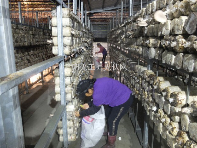 1116933402_14458204031361n