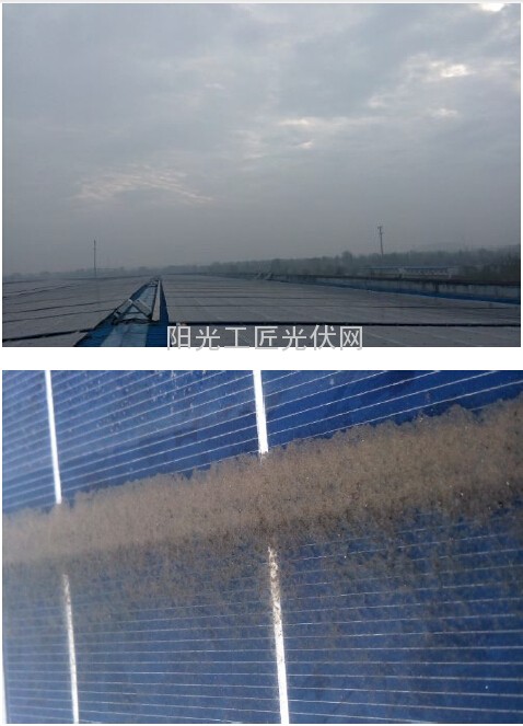 细雨后的组件表面(图)