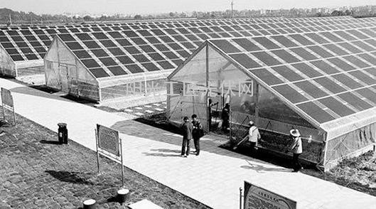 受益全额上网 湖北光伏企业将大胆携手企事业单位