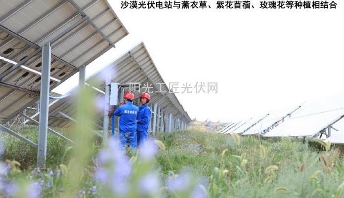 【独家】<a href=