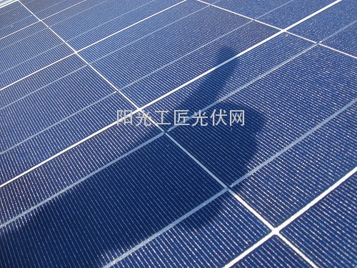 双反宣判在即,价格与交易型式更加弹性