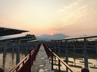 隆基乐叶光伏扶贫项目获国家能源局官网刊登 隆基乐叶光伏扶贫项目获国家能源局官网刊登