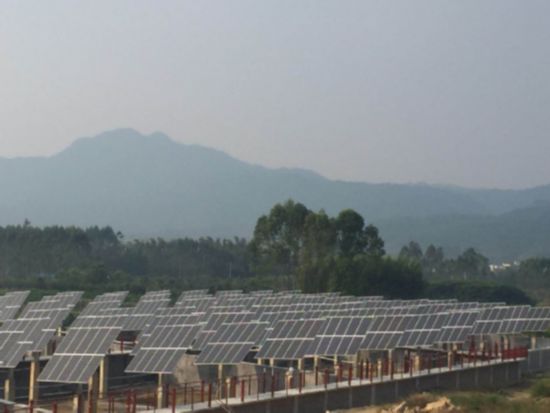 光伏扶贫花开广西 发电效益高出20% 光伏扶贫花开广西 发电效益高出20%