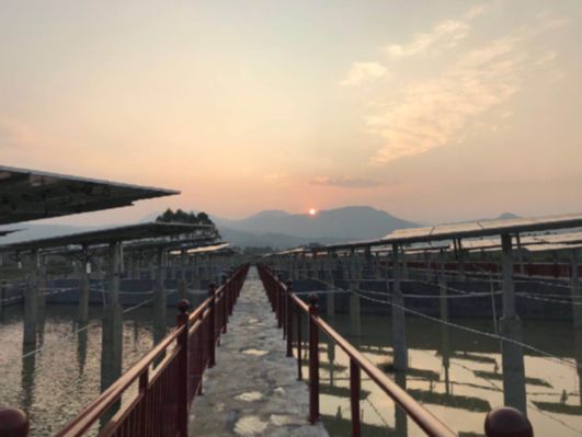 光伏扶贫花开广西 发电效益高出20% 光伏扶贫花开广西 发电效益高出20%