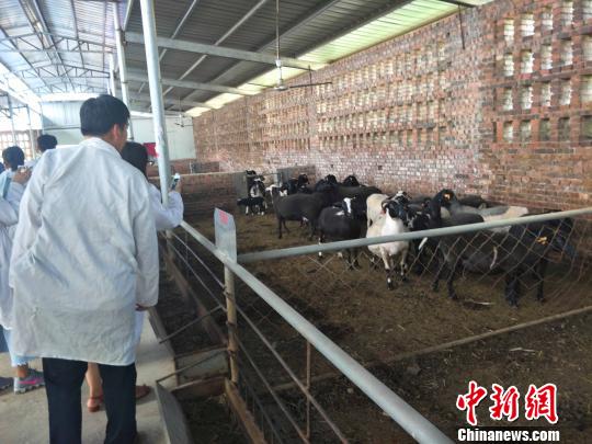 河北贫困山区县的“绿色”扶贫之路 河北贫困山区县的“绿色”扶贫之路