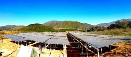 【聚焦】光伏精准扶贫见成效