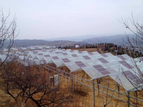 【聚焦】光伏精准扶贫见成效