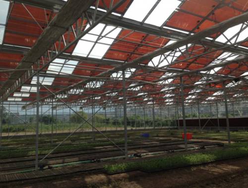 【聚焦】光伏精准扶贫见成效