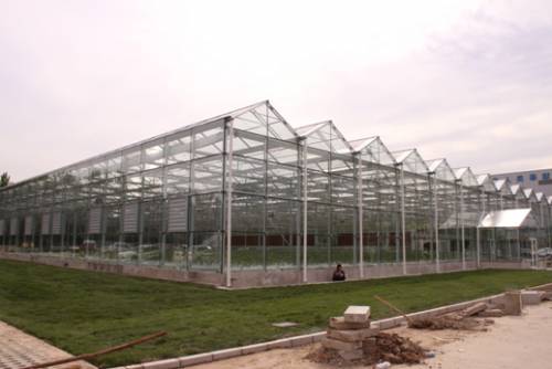 【聚焦】光伏精准扶贫见成效