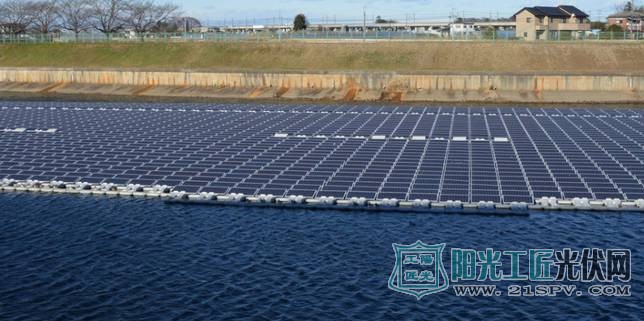 最火九大<a href=