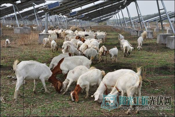 最火九大<a href=