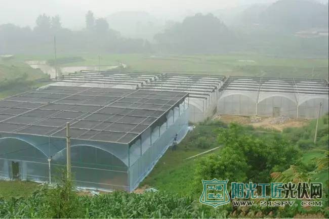 最火九大<a href=