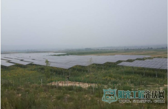 最火九大<a href=