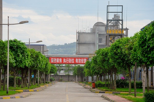 全球最大多晶硅生产线6月在川开建 全球最大多晶硅生产线6月在川开建