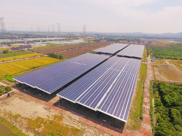 “菜篮子”会发电：沪最大单体<a href=