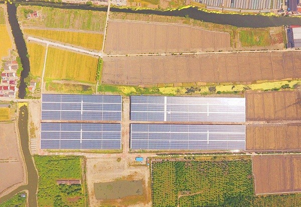 “菜篮子”会发电：沪最大单体<a href=