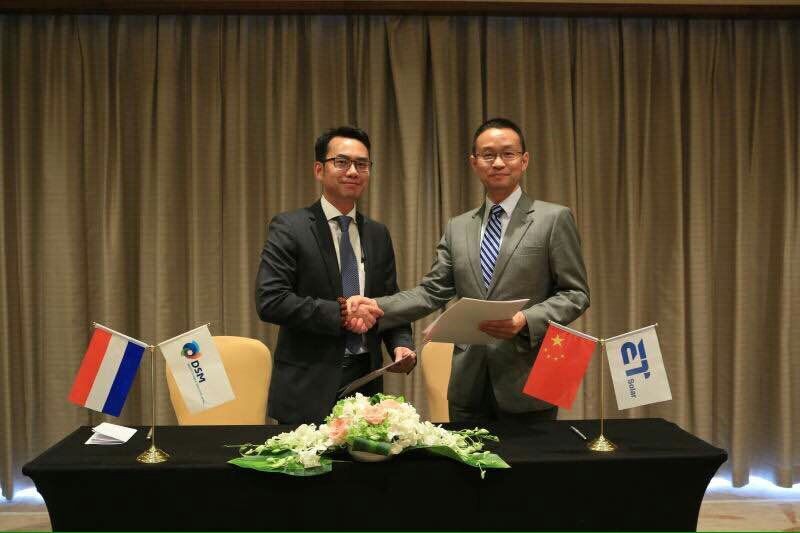 中盛阳光和帝斯曼宣布建立战略合作伙伴关系,加速应用了高性能绿色背板的光伏组件的市场化 中盛阳光和帝斯曼宣布建立战略合作伙伴关系,加速应用了高性能绿色背板的光伏组件的市场化