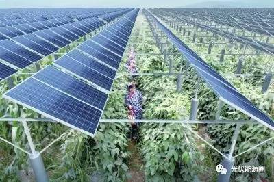 今天国务院常务会定了这2件大事,每件事光伏人都能享受到福利 今天国务院常务会定了这2件大事,每件事光伏人都能享受到福利