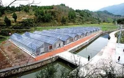 “光伏发电+农业大棚” 旺苍县尚武镇贫困户年收入上万元 “光伏发电+农业大棚” 旺苍县尚武镇贫困户年收入上万元