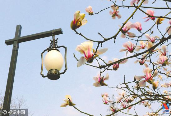 祺景光电与飞利浦闹掰 为3000盏路灯质量问题反目 祺景光电与飞利浦闹掰 为3000盏路灯质量问题反目