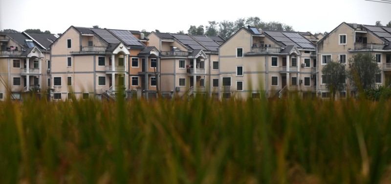 晒着太阳就把钱赚了,龙游三千多户家庭藏着“聚宝盆” 晒着太阳就把钱赚了,龙游三千多户家庭藏着“聚宝盆”