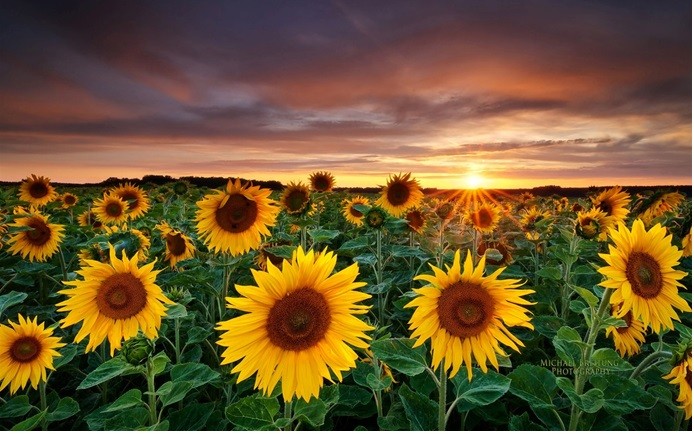 亚坦新能科普:光伏补贴真的是国家给的吗? 亚坦新能科普:光伏补贴真的是国家给的吗?