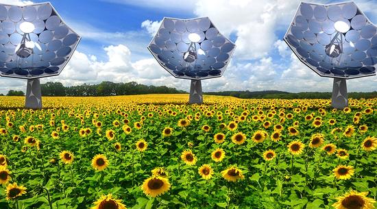 太阳能电池玩出新花样：身段软颜值高实力强