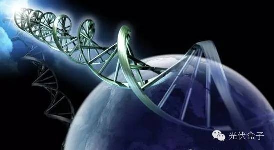 生物技术与生命科学