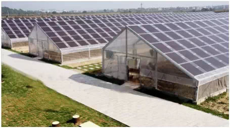 光伏农业大棚