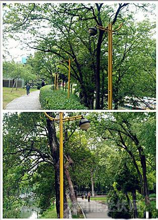 装一盏太阳能路灯多久才能收回成本