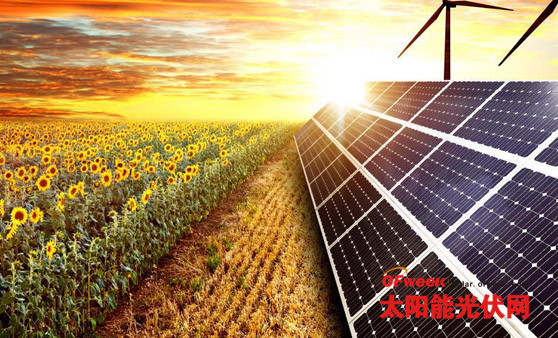 布局全球市场,三大业务齐头并进