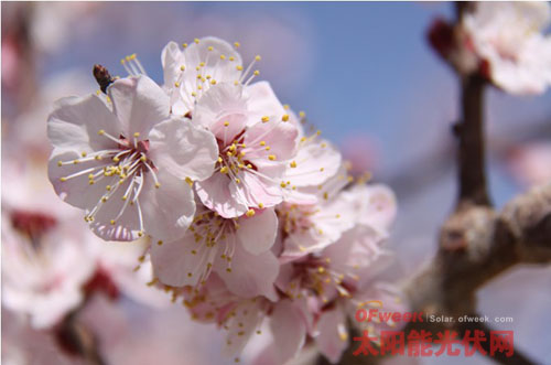 OFweek视点：太阳能光伏行业4月最新热点赏析（图）