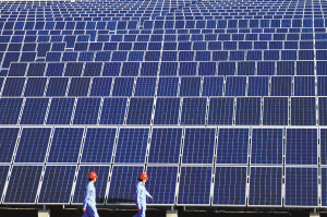 利润下降200% 杭州光伏企业深耕国内市场自救