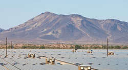 Agua Caliente Solar Project