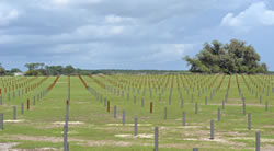Sorrento Solar Farm
