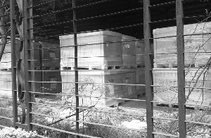 赛维:负债高达60亿美元 供应商堵门索债