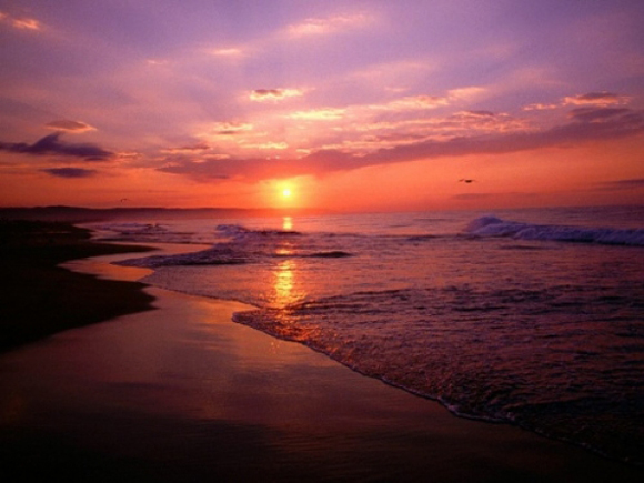 电网平价越来越近